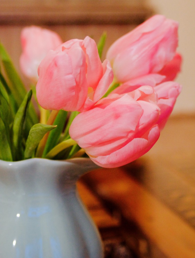 Sonntagmorgen, rosa Tulpen